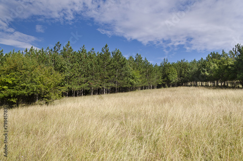 Sunny Blue Sky, Meadow and a hills near the village Katselovo