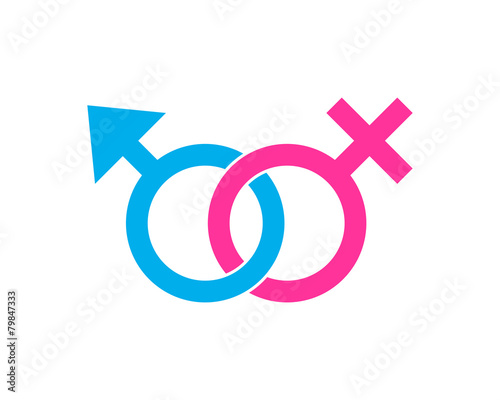 Gender Link