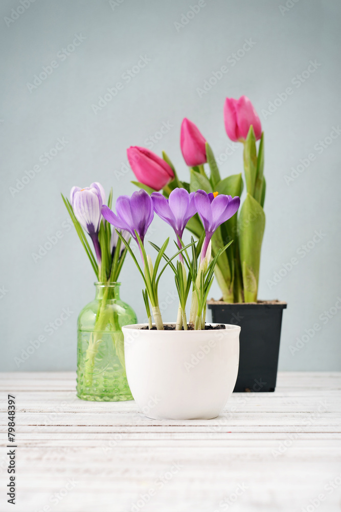 Tulips and crocus Tulips and crocus