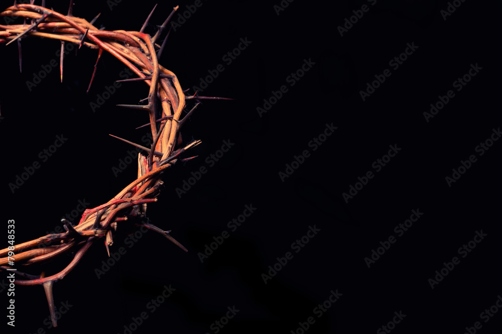 view of branches of thorns woven into a crown depicting the cruc - obrazy, fototapety, plakaty 
