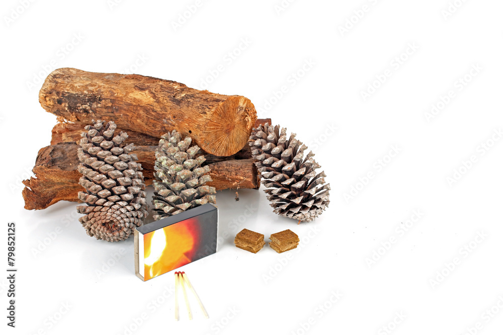 Fototapeta premium Wood, pineapple cones and matches for making the fire