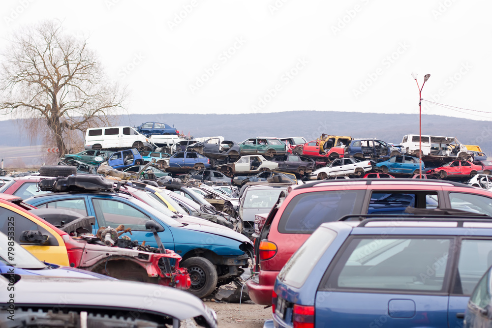 Cars in junkyard