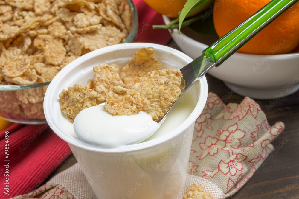 yogurt with cereals yogurt with cereals