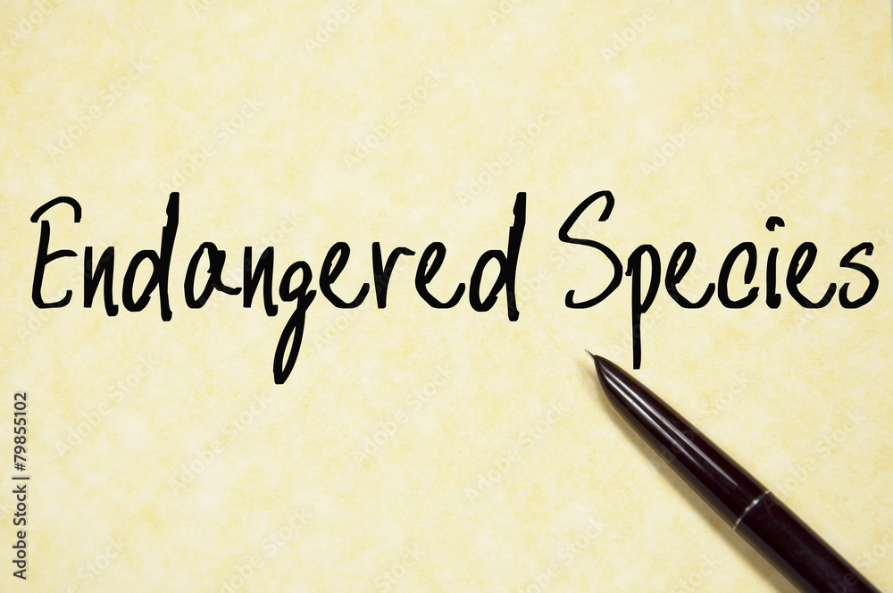 endangered species text write on paper endangered species text write on paper