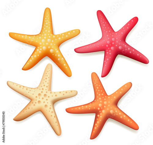 Realistic Colorful Starfish Set in White Background