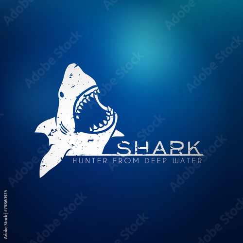 Shark concept