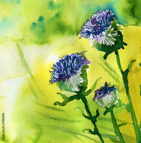 watercolor illustration depicting spring flowers in the meadow photo