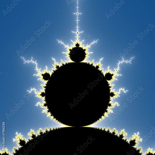 Fractal floral pattern
