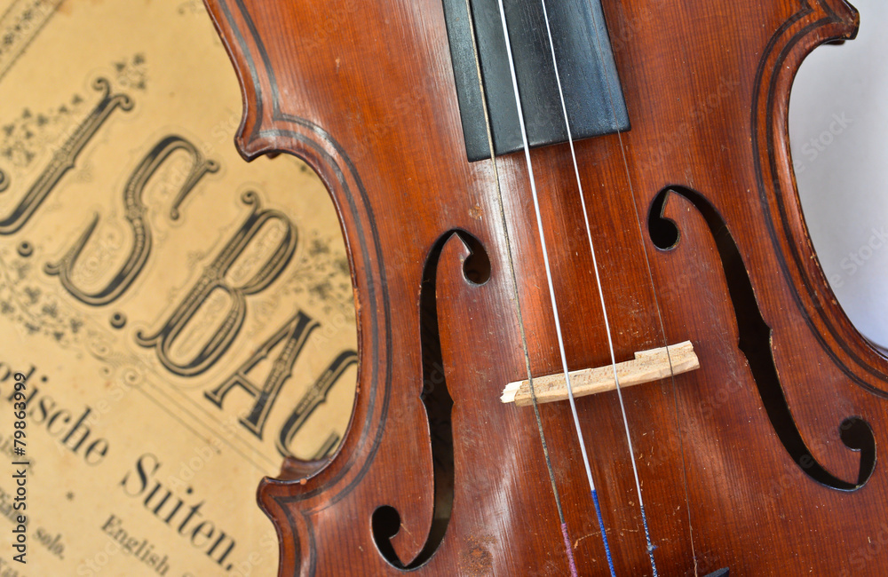 German ancient violin and notes. German ancient violin and notes.