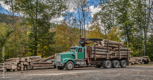 Logging