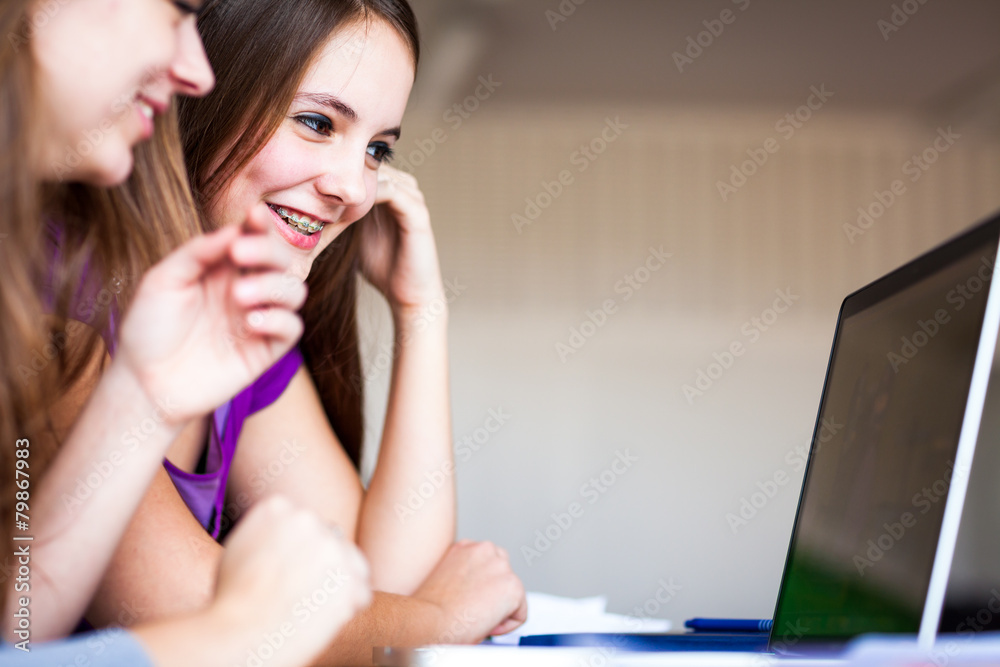 Two female college students working on a laptop computer Two female college students working on a laptop computer