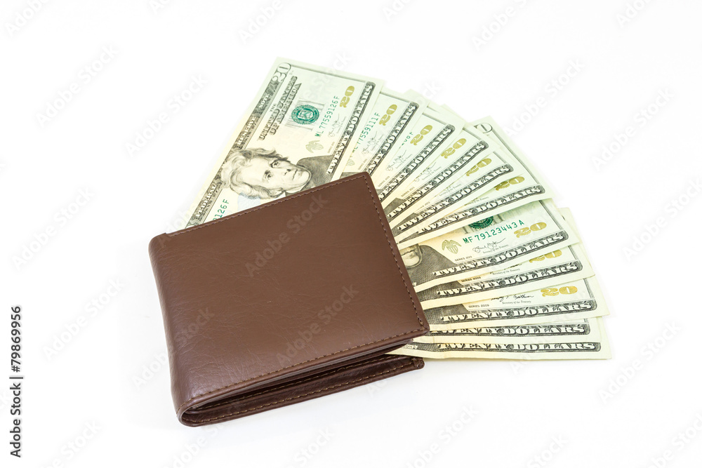 dollars money in bag on white background dollars money in bag on white background