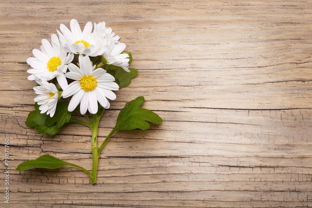Obraz premium Chamomile flowers on wooden background with copy space