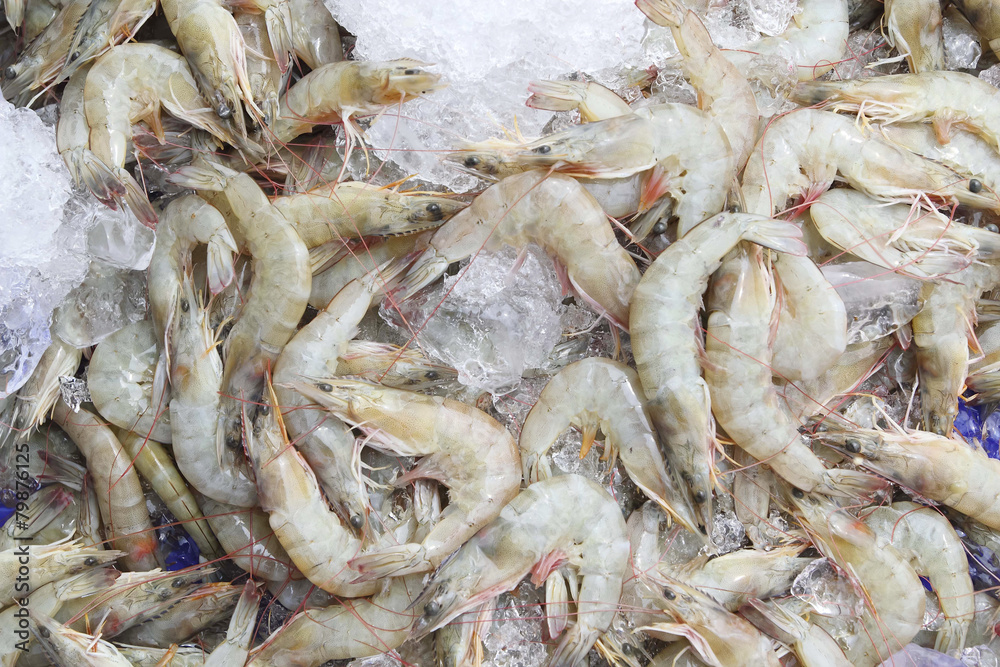 Fresh Shrimp or Prawn Lay on Ice.