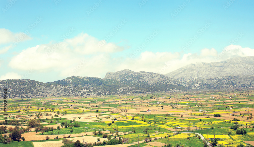 Obraz premium Amazing sunny landscape of valley with fields on the background