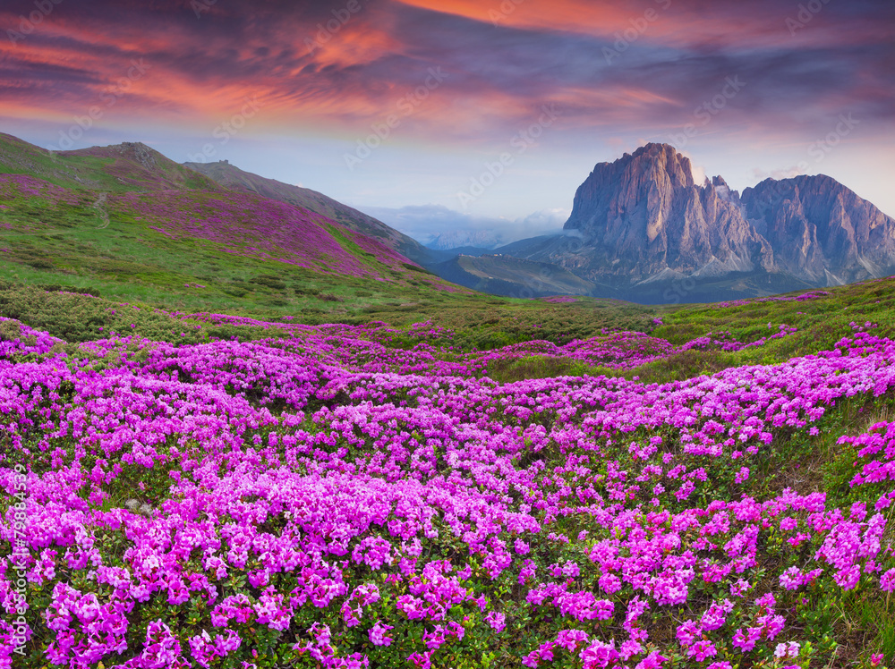 Colorful summer sunrise in the  mountains