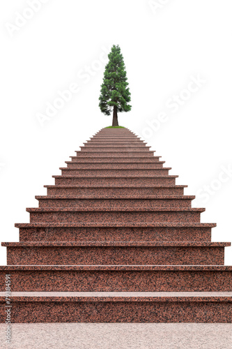 Phantastische Treppe mit Mammutbaum als Freisteller