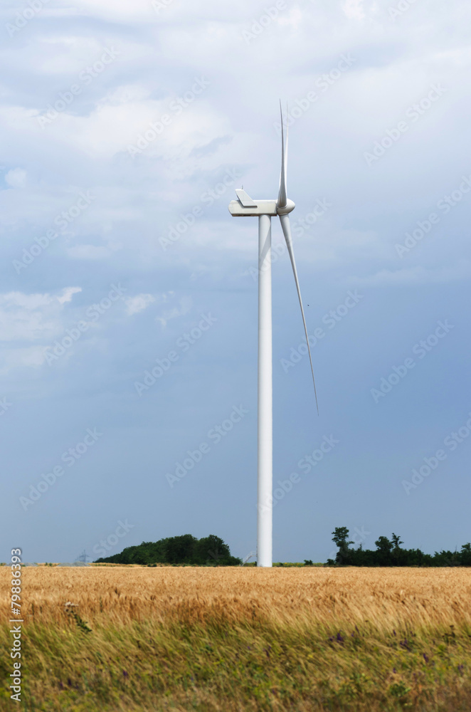 A wind farm in the wide spread field A wind farm in the wide spread field