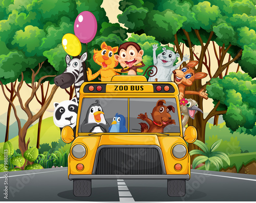 Animals