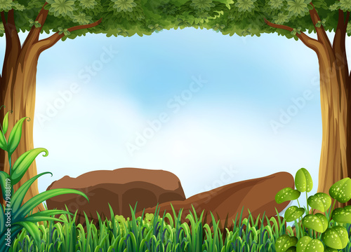 Forest