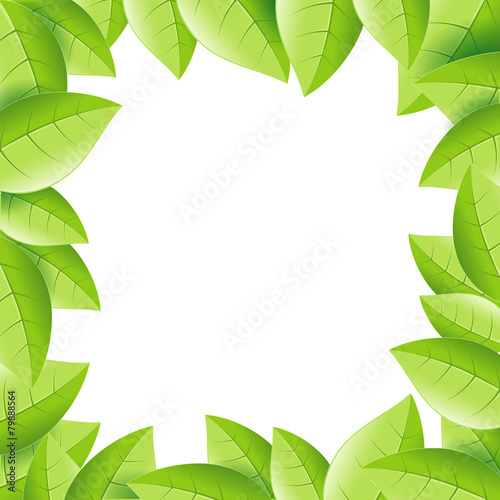 plant leaves background