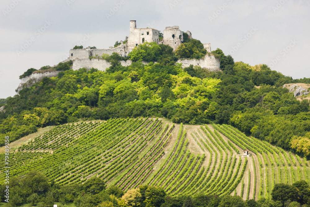 ruins of Falkenstein Castle with vineyard, Lower Austria, Austri