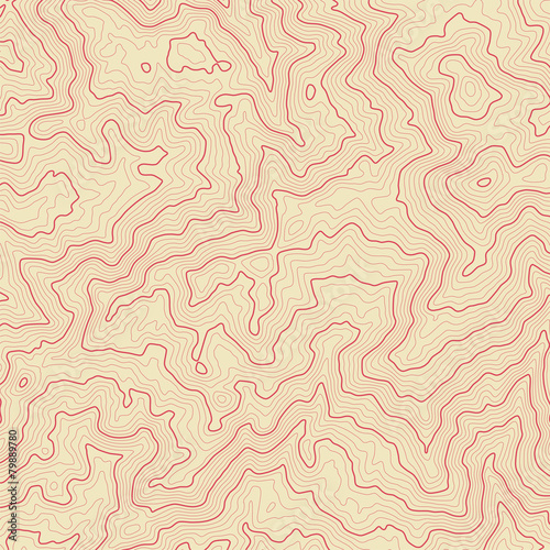 Abstract topographic map. Vector