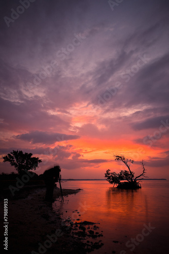 Sunset in the Everglades National Park