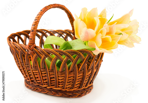 Tulips in basket
