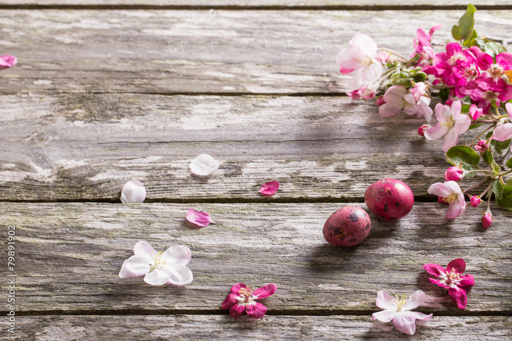 Easter eggs with apple flowers on wooden background Easter eggs with apple flowers on wooden background
