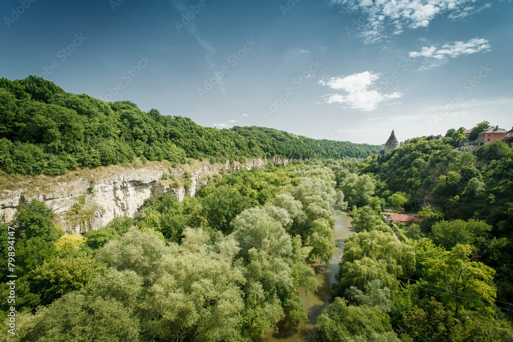 Fototapeta premium Canyon river