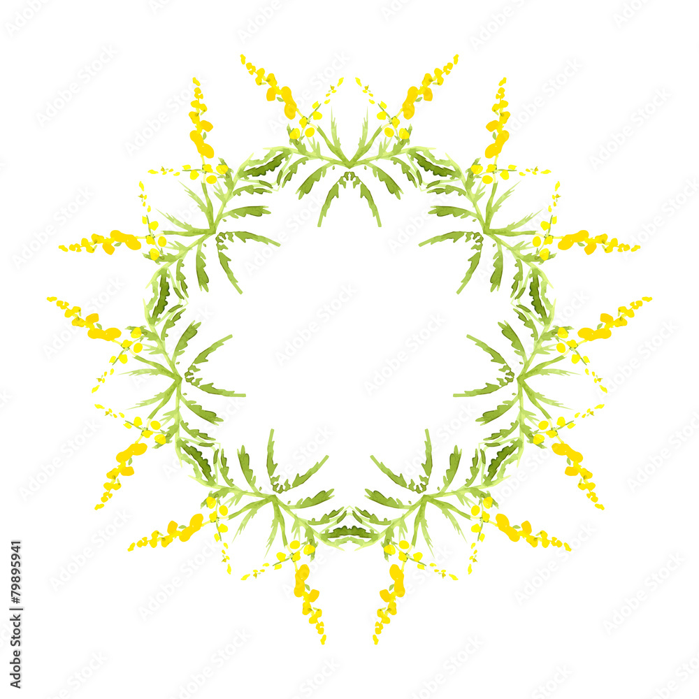 Obraz premium Stylish Floral Card in Vector