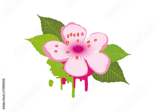 Apfelblüte