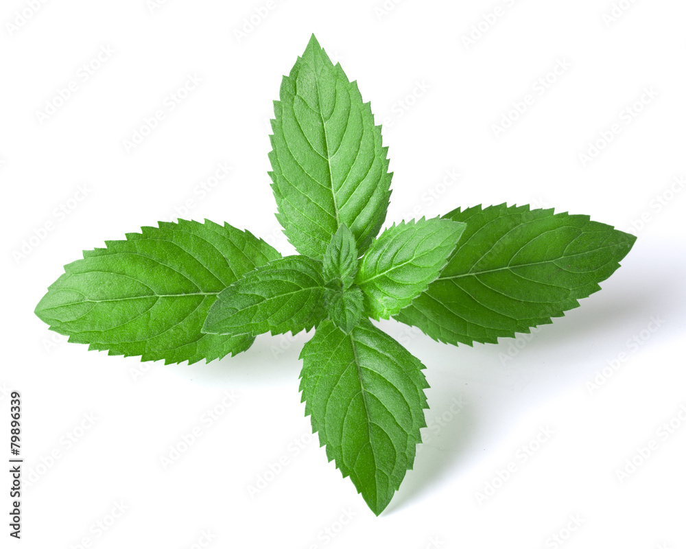 mint mint