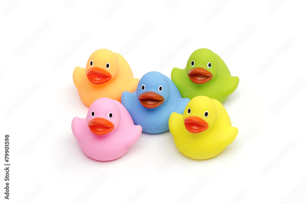 ducklings on the white background ducklings on the white background