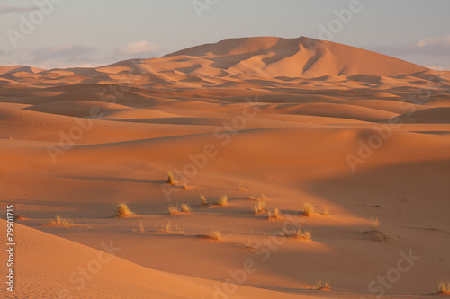 Dunes of Erg Chebbi  Morocco