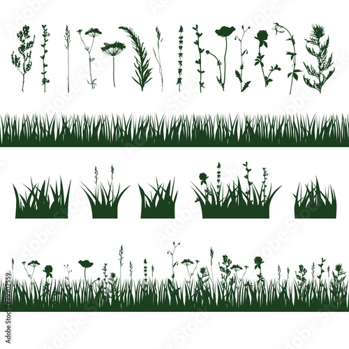 silhouettes meadow grass