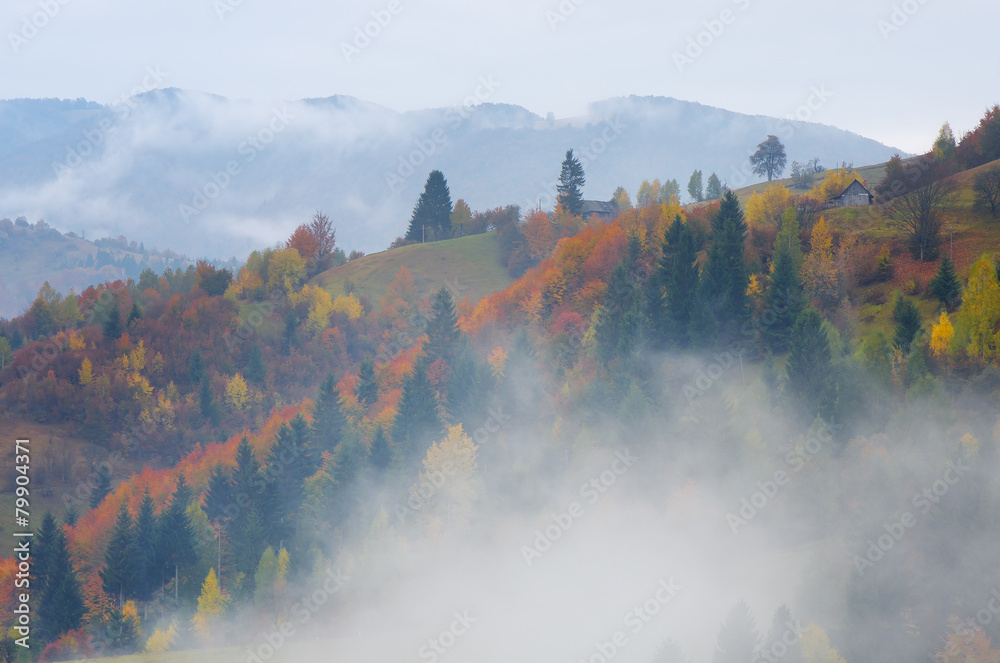 Fototapeta premium Autumn landscape in the countryside