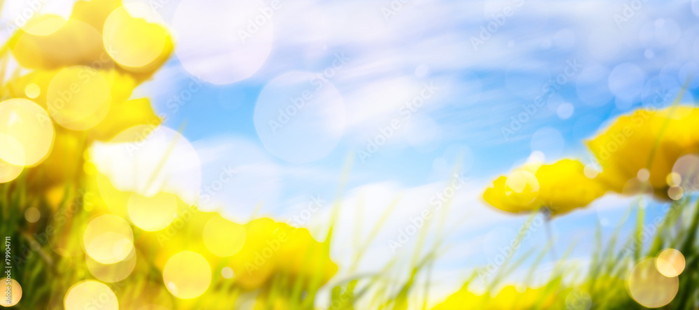 art spring background art spring background