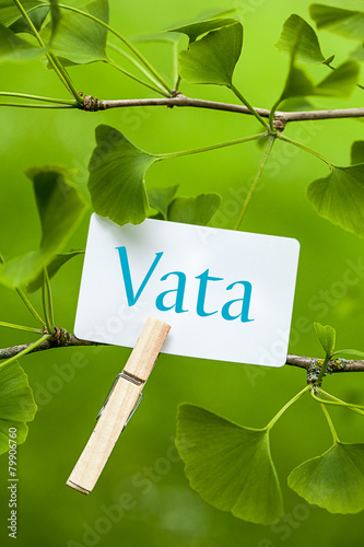 Vata photo