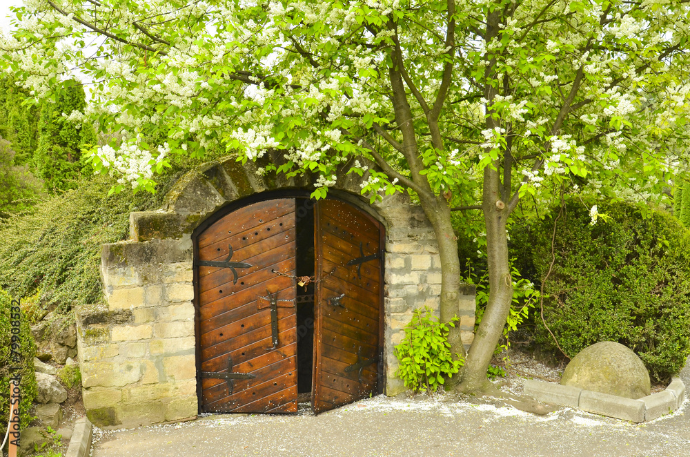 Blossoming tree in spring time in a park and a wooden gate Blossoming tree in spring time in a park and a wooden gate