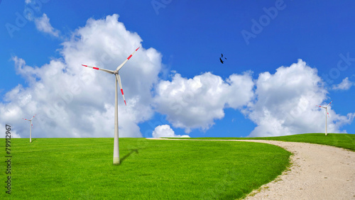 Wind turbine, ecology