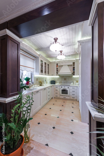 Interior spacious modern kitchen