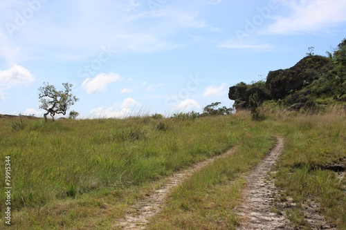 Eastern regions of Colombia. photo