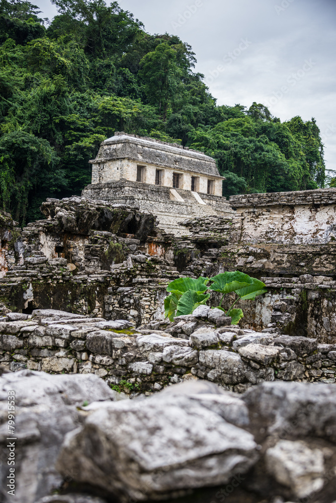 Palenque Mayan City. Ruins in the Jungle, Chiapas, traveling thr