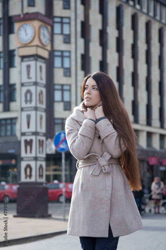 Fototapeta premium capital