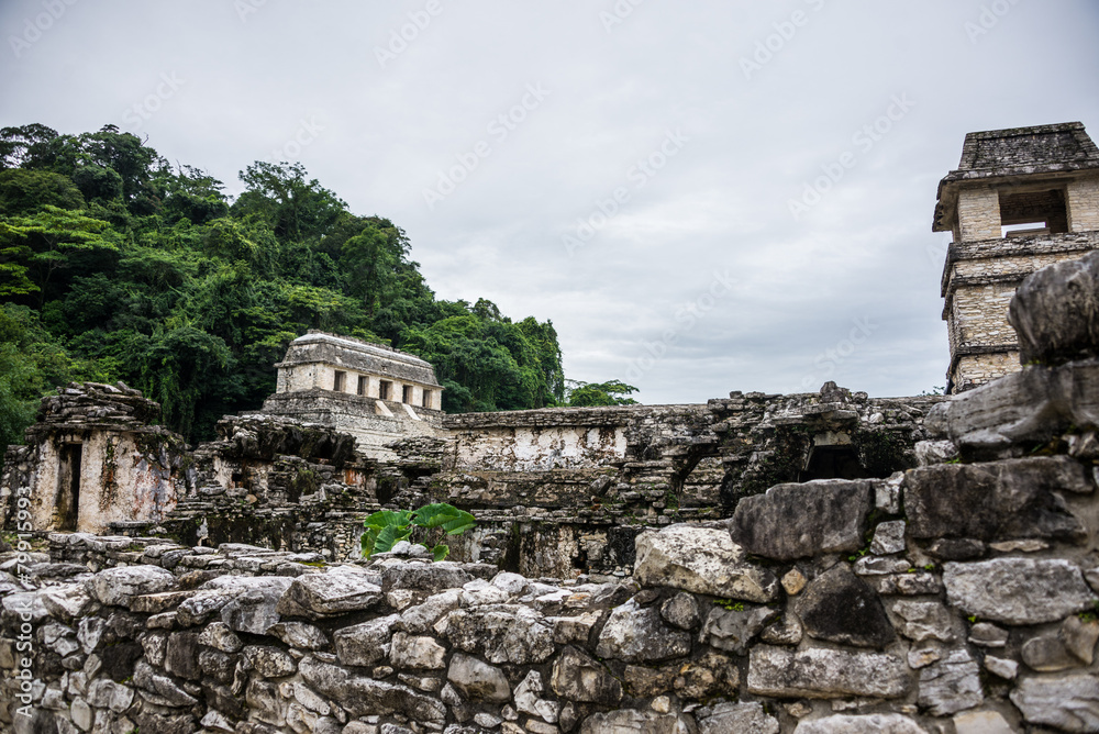 Palenque Mayan City. Ruins in the Jungle, Chiapas, traveling thr