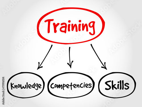 Training components mind map, business concept