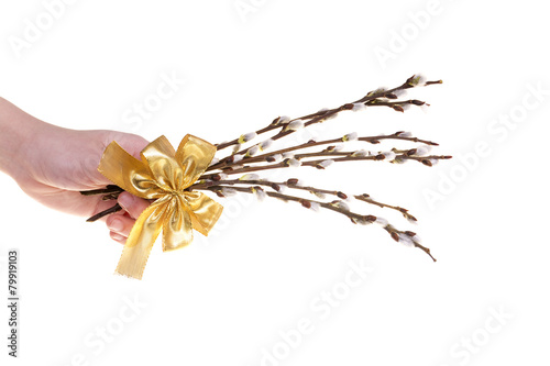 Easte catkins with golden ribbon in hand on white background