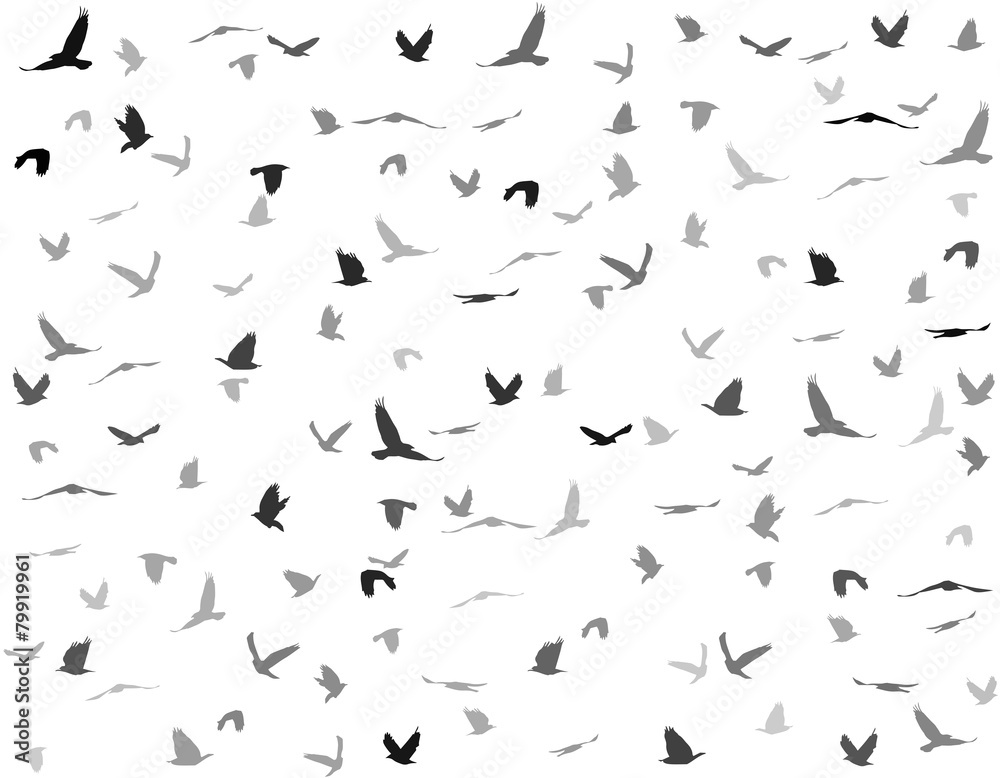 silhouettes of birds seamless pattern